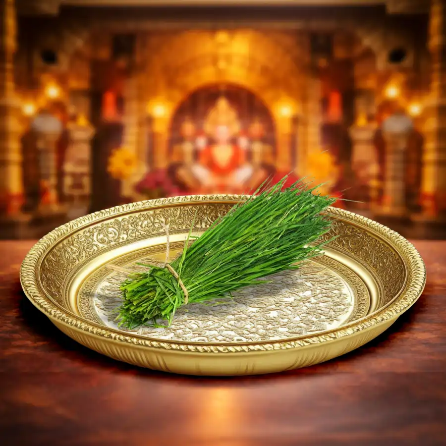 21 Durva arpan