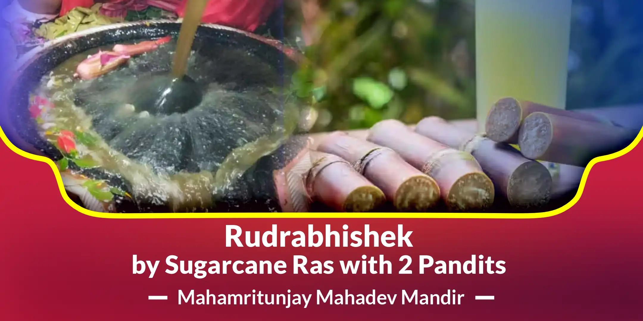 Rudrabhishek by Sugarcane Ras with 2 Pandits