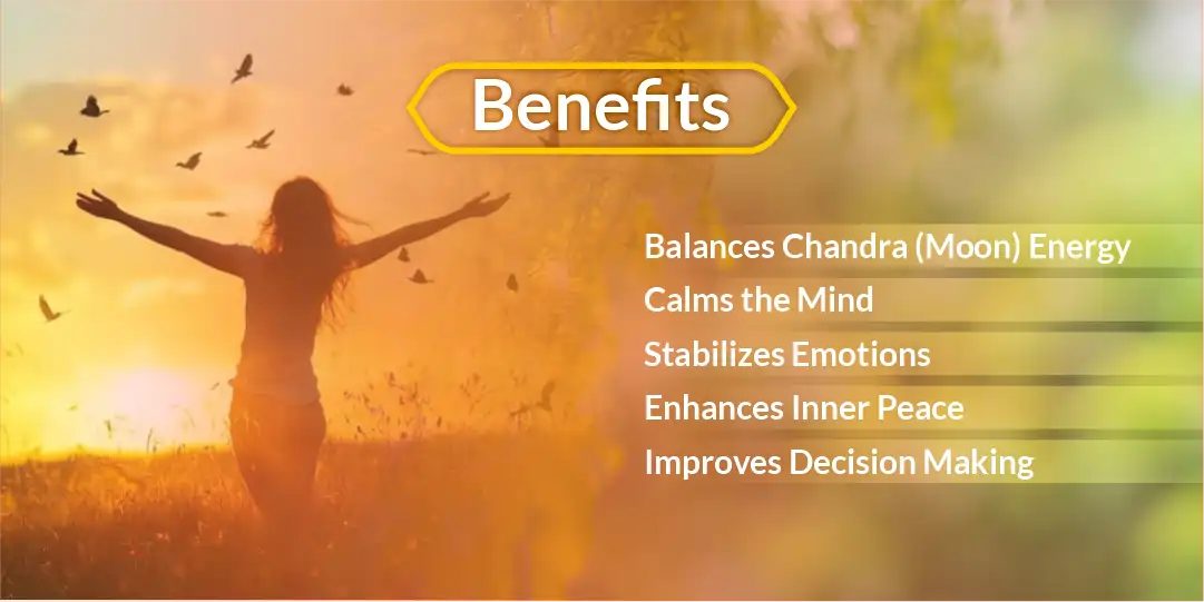Moolank 2 Chandra Shanti Rudrabhishek 3